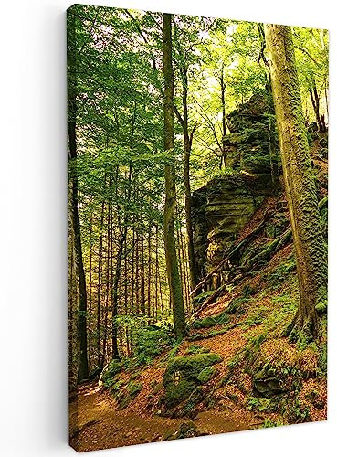 MuchoWow© Bilder 40x60 cm Wohnzimmer Deko Modern Wandbild Foto auf Leinwand Bild Schlafzimmer Room Decor Geschenke Wandbilder Wald - Bäume - Stein - Natur - Pflanzen