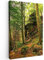 MuchoWow© Bilder 40x60 cm Wohnzimmer Deko Modern Wandbild Foto auf Leinwand Bild Schlafzimmer Room Decor Geschenke Wandbilder Wald - Bäume - Stein - Natur - Pflanzen