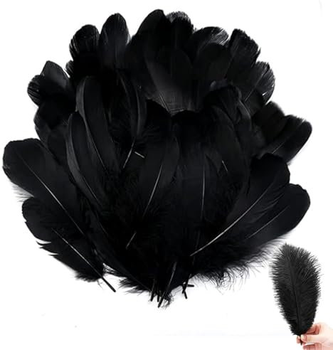 ARROMI 500 Stück Schwarze Federn, Federn Schwarz, Federn, Federn Zum Basteln, Feder, Natur Für DIY Basteln Dekoration Ostern Weihnachten Dekofigur, Traumfänger, Kopfschmucksfedern