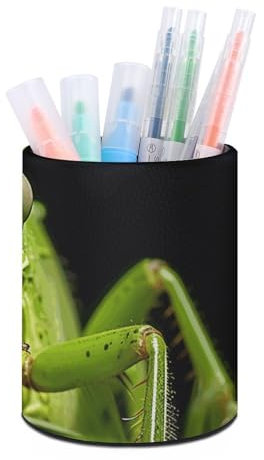 Oudrspo Schreibtisch-Organizer mit Grashüpfer-auf-Gras-Motiv, bedruckter Stifthalter mit Grashüpfer-auf-Gras-Motiv, Stiftbecher, Fernbedienungshalter, Bleistifthalter für das Home Office