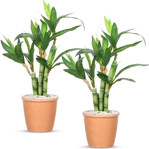 FineCheer 2 Pack Artificial Lucky Bamboo Plant 16 x 4 Inch Potted Fake Plant Decoration Green for Farmhouse Home Office Kitchen Counter Top Indoor Decor