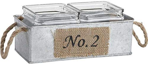 AUBRY GASPARD Jardinière en Zinc avec Pots en Verre 24 cm