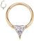 Gold Septun Ringe Septum Schmuck 16G Daith Ohrringe Chirurgenstahl Rook Ohrringe Conch Piercing Schmuck Septum Clicker Nose Ring Septum Knorpel Helix Tragus Hoop Ohrringe 10mm mit Triangle CZ