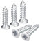 QUARKZMAN ST2x10mm Blanc Vis Autotaraudeuse, 100pcs Plat Tête Phillips Bois Vis pour Travail Bois