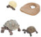 ibasenice 4 Schildkrötenverzierung fokussiert bürodeko Spielzeug Figur Meeresschildkröte Schildkrötenwachstumszyklus schmücken Schildkrötenfiguren fest Tier Lehrmittel Ornamente Kind