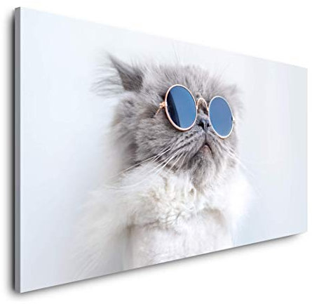 lustige Katze 120x 60cm Panorama Leinwand Bild XXL Format Wandbilder Wohnzimmer Wohnung Deko Kunstdrucke