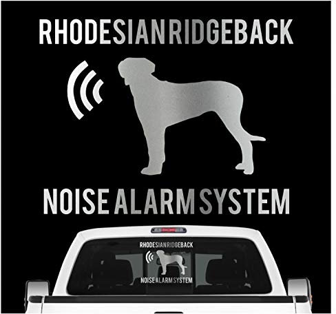 siviwonder Rhodesian Ridgeback Noise Alarmsystem Auto Aufkleber Hund Folie RR Farbe Silber Metallic, Größe 10cm