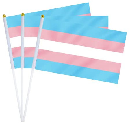 Transgender-Flagge, Transgender-Flagge, kleine Mini-Handflaggen auf Stäben für Paraden, Partys, Festivals, Dekorationen