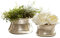 Loberon Vase 2er Set Riona, Zwei Größen, matt gebürstet, ideal für kleine Sträuße, Blumenvase, Wohnaccessoires, Wohndekoration, Aluminiumguss, antiksilber
