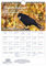 Rabenzauber Raben, Krähen und Dohlen DIN A4 Kalender für 2025- Geschenkset: 1x Kalender 1x Weihnachtsanhänger 1x Grußanhänger (gesamt 3 Teile)