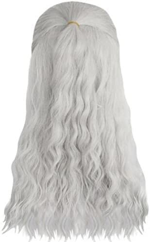-Perücke Anime Cosplay Anime Cosplay Perücke Anime Cosplay Perücke Game Witcher Silbergrau Lange gerade Mann Cosplay Perücke Synthetische Rollenspielhaarperücken für Party Halloween mit Halskette