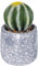 Villa d'Este Home Tivoli Piantina artificiale Cactus, vaso in cemento, Ø 9x15 cm