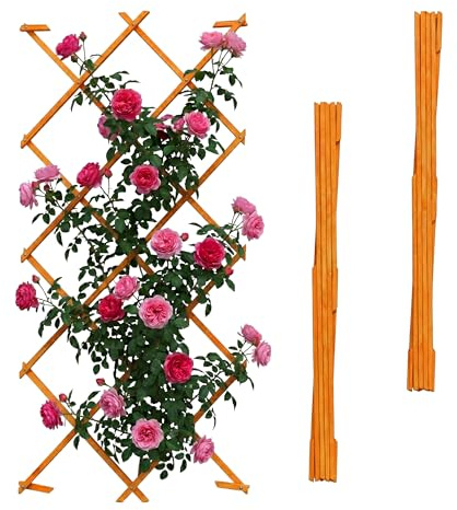 Relaxdays Rankgitter ausziehbar, 3er Set, 180x120 cm, Holz, orange | Wandmontage, Rankhilfe Kletterpflanzen, Holzgitter