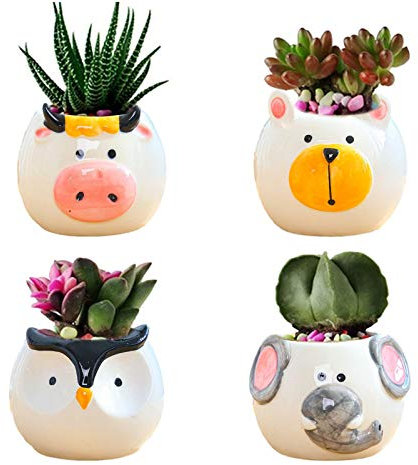 MISETA Macetas pequeñas de cerámica cilíndricas para flores o cactus con agujero de drenaje