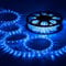 Ollewiellan LED Lichterschlauch Außen, 10m 240 LEDs Lichtschlauch, Wasserfest LED Schlauch, Blau mit Timer & 8 Modi Lichtschlauch,für Außen Innen Party Hochzeit Weihnachten Dekolicht