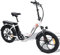 Fafrees F20 [ Official ] Fatbike Damen mit 36V 16AH abnehmbarem Akku Ebike, E-Bike Klapprad 20 Zoll Fahrrad Herren, Electric City E Bike Klappbar 250W Pedelec Max. 5 km/h, Elektrofahrrad