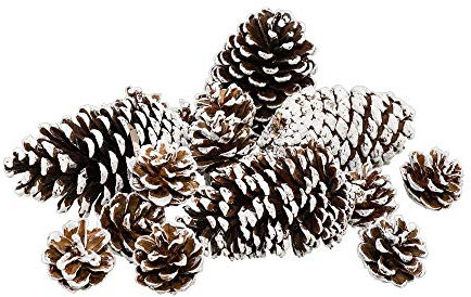 decopartners.eu Tannenzapfen beschneit im Beutel, braun/weiß, 16 Stück, 4-13 cm