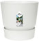 Elho Greenville Rond 20 - Pot De Fleurs avec Un Réservoir d'eau Intégré - Interieur & Extérieur - Plastique 100% Recycle - Ø 19.5 x H 18.4 cm - Blanc/Blanc