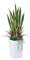 VeriNatural Kunstpflanze Bogenhanf 120cm–Künstliche Pflanzen Groß Wie Echt Sansevieria,UV-beständig–Künstlicher Baum im Weißer Topf–Deko Plastik Zimmerpflanzen für Wohnzimmer Balkon Büro,VN152