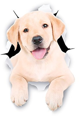 Winston & Bear Autocollants pour chien 3D - 2 Pack - Stickers Cute labrador mur, réfrigérateur, toilettes et plus d'autocollants blancs Labrador