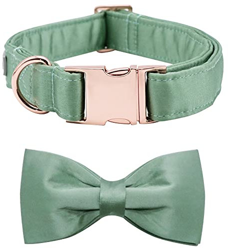 Lionet Paws Hundehalsband mit Fliege - komfortable Seide grün Hundehalsband mit abnehmbaren Fliege für große Hunde, Hals 40-60cm