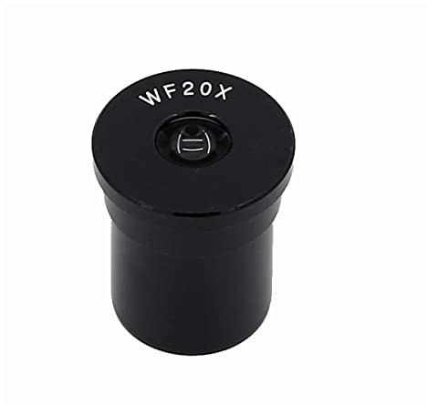 Mikroskop 1PC Fadenkreuzokular WF10X 15X 16X 20X Weitwinkelokulare mit Mikrometer for biologische Mikroskopmontage Größe 23,2 mm(WF20X-10mm)