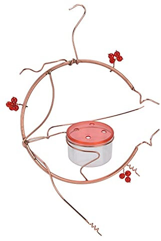 Bird Feeder Hanging Metal Bird Water Feeder Handmade Vine Berry Design Transparent Bowl Copper Coil Red Lid 4 Inlets For Garden Outdoor Decoration Iron Material 221g 7.8oz
