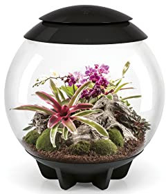 biOrb AIR 60 Terrarium, Fully Automated 360-Degree Tropical Plant Eco-System, Replicates Natural Daylight, Air Movement & Humidity, Easy Setup, Includes Coir Compost, Misting Module & LED Lighting