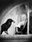 Alfred Hitchcock (The Birds) - Poster cm. 30 x 40