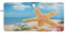 Sea Shell Seestern Windschutzscheibe Sonnenschutz Faltbare Auto Sonnenblende für Frontscheibe Auto Sonnenschutz für Van Truck Auto Schild blockiert UV-Strahlen Auto Innenzubehör 76,2 x 150,9 cm