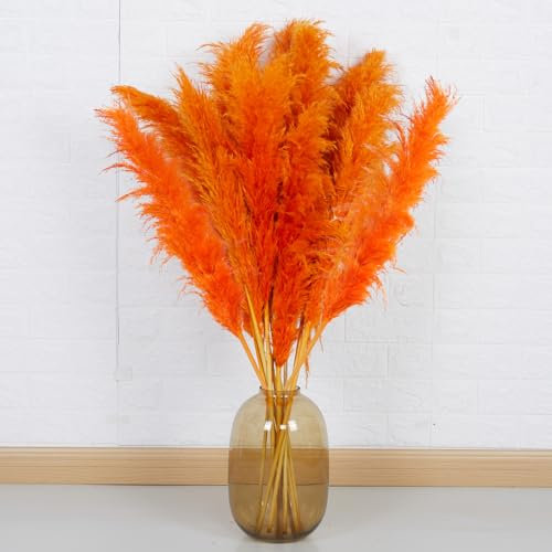 10 Stück Pampasgras Groß - DATEFUN Getrocknete Pampasgrasdekoration 100CM - Getrockneten Blumen Deko Natürliche & Flauschige - für Boho, Bodenvasen, Tisch, Hochzeits, Wohnzimmer, Schlafzimmer(Orange)