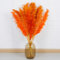 10 Stück Pampasgras Groß - DATEFUN Getrocknete Pampasgrasdekoration 100CM - Getrockneten Blumen Deko Natürliche & Flauschige - für Boho, Bodenvasen, Tisch, Hochzeits, Wohnzimmer, Schlafzimmer(Orange)