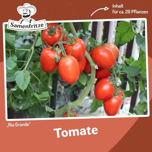 Rio Grande Tomatensamen