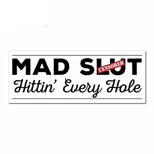13 cm x 5 cm für Hittin Every Hole Fine Aufkleber Lustige Autoaufkleber RV VAN 3D
