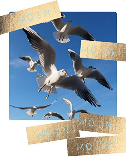 Cityproducts - 4635 - Happy Memories, Postkarte, Maritim, Möwen, Moin, Moin, Moin, Moin, Moin, 10,5cm x 13cm