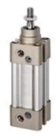 RIEGLER 16.DMD.32080 Serie SAI Normzylinder, Doppeltwirkend, 32mm Kolben-Ø, 80mm Hub, G 1/8 Anschluss