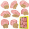 PTaizjjz 8 cortadores de galletas de dinosaurio, esqueleto, fósiles, cortadores de galletas en relieve de hueso de dinosaurio 3D, moldes de fósiles para hornear galletas de dinosaurio