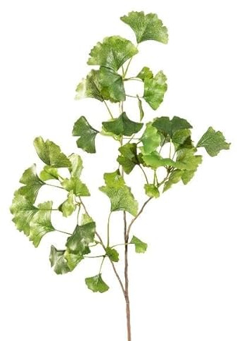 artplants.de Deko Zweig Ginkgo BAVLEN, grün, 85cm - Künstlicher Gingkozweig