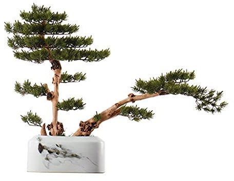 hanxiaoyishop Bonsai Künstliche Bonsai Welcome Kiefer Weiß Keramik Blumentopf Gefälschte Pflanze Exquisite Wurzel Schnitzerei Silikon Nadel Blatt Wohnzimmer Dekoration Bonsai Baum