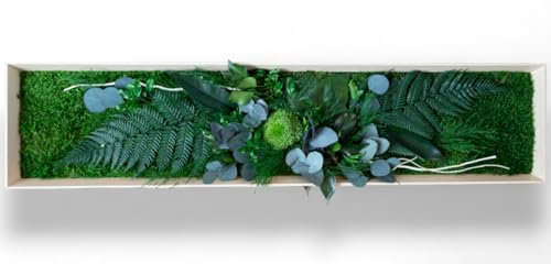 Générique tableau végétal stabilisé AUTRALIA BOIS sans entretien - tableau de plantes et décoration murale d'intérieur, plantes et fleurs éternels made in France