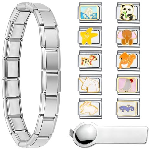 HTTYHT Italian Charm Bracelet DIY Set Silber 10 Abnehmbar Modul mit Öffnungswerkzeugen und Geschenkbox Italienische Armband Charms Edelstahl 9mm Süße Tiere Abnehmbar Module Italienische Schmuck
