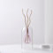 Room Decor Aromatherapy Diffuser Bottle, Transparent Double Glass Vase, Nordic Style Desk Fragrance Diffuser Bottle, Hydroponic Pot Vase(Pink)