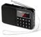 Mini Altavoz PRUNUS Radio J-429 SW Reproductor MP3 SW Am(MW) FM con Puerto para Tarjeta TF Memoria USB (Ojo:No se Puede Fijar Las emisoras/No se Puede memorizar o borrar Las emisoras manualmente)