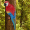 Leylor Papageienspielzeug-Harz lebensechte Vogel Ornament Figur Papagei Modell Spielzeug Gartenskulptur Wanddekoration(Red Right)