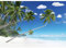 Ceanothe Tableau sur Verre synthétique Plage de Palmiers 65x97 cm Impression Image en Haute Définition Tableau Mural décoratif Fabriqué en France