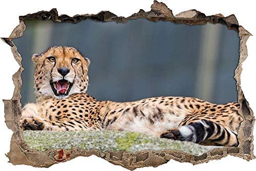 3D Wandtattoo gähnender Gepard Bild selbstklebend Wandbild sticker Wohnzimmer Wand Aufkleber, Wandbild Größe 50x70cm
