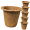 BESPORTBLE 6St Kokosnuss-Palmen- -Cup Indoor Plants zimmerpflanzen Pflanztöpfe für Setzlinge saftiger Pflanzer Torf Töpfe für Pflanzen Gartentöpfe Blumentöpfe aus Kokos grüne Pflanzen
