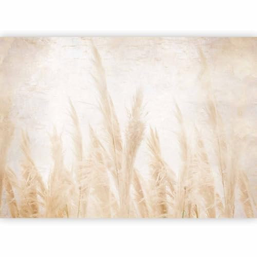 murando - Papier Peint Panoramique Intissé Nature 300x210 cm - Revêtement Mural pour Chambre Salon - Design Unique Moderne Décoration Murale - Beige gris - b-A-10194-a-a