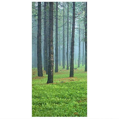 Raumteiler Tiefer Wald mit Kiefern auf La Palma 250x120cm ohne Halterung