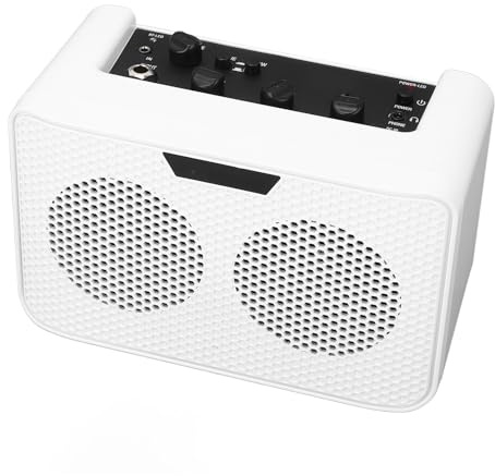 Rcniso Amplificatore per Chitarra Elettrica Bluetooth da 10 W con Effetti di Ritardo per Prestazioni Jack per Auricolari con Ingresso da 1/4 di Pollice